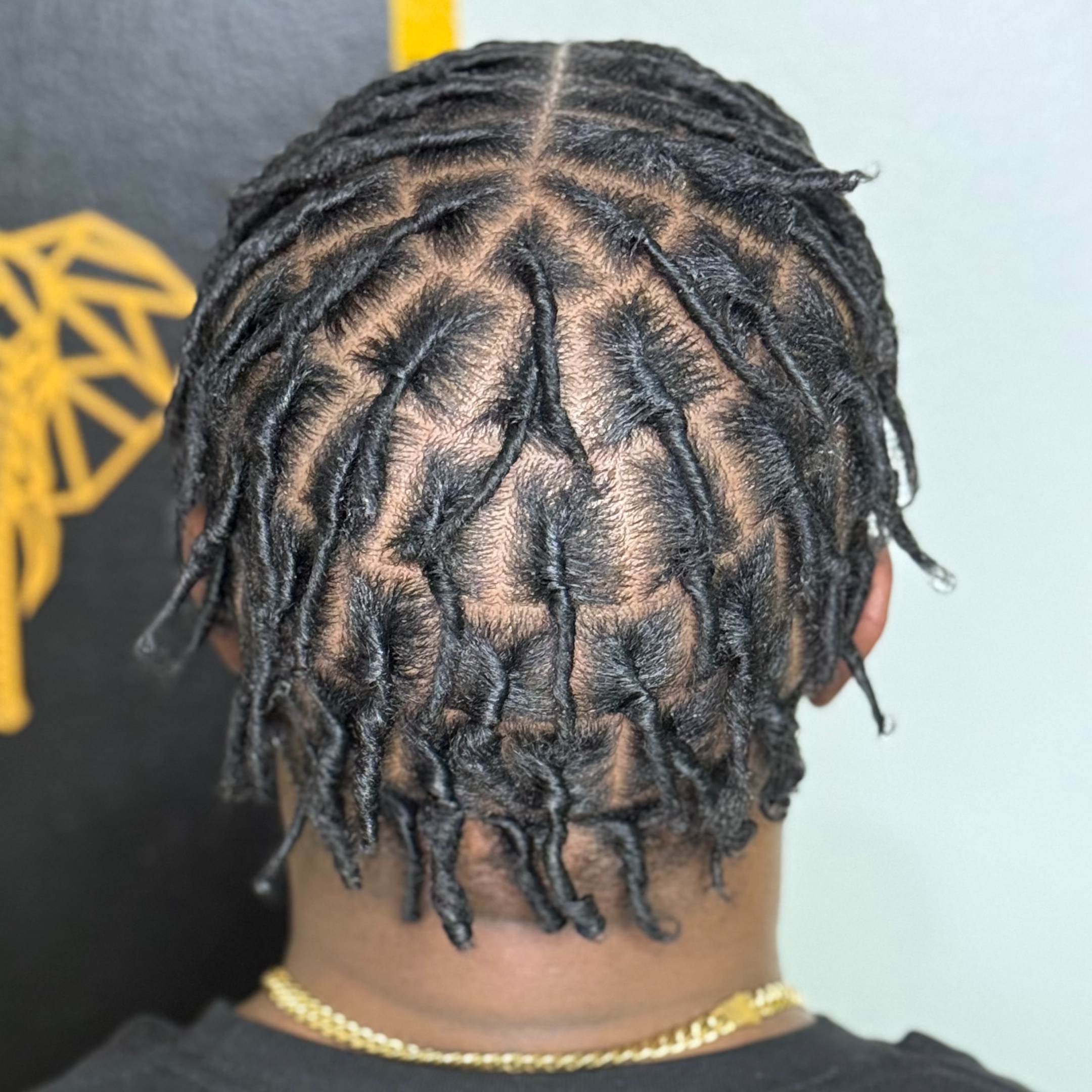 Starter Locs (Coils or Two-Strand) at HALOD BEAUTY HOUSE in Jackson, MS