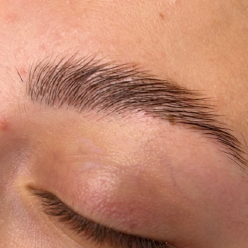 Brow Lamination With Tint at Beauty, Bliss and Wellness LLC in Rainsville, AL