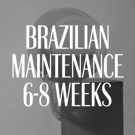 Brazilian Maintenance 6-8 Weeks