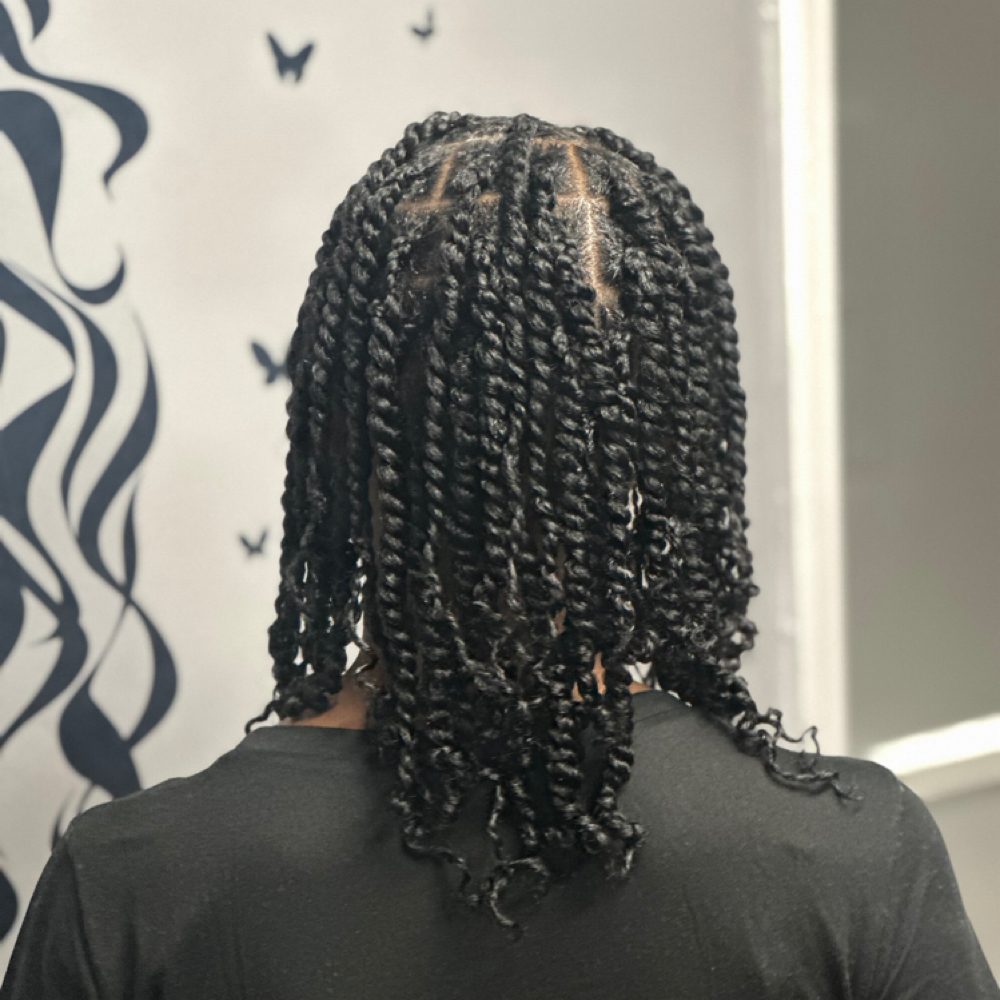 Women Plaits/2 Strand Twist at Beauty Rhon-Da-Show in Memphis, TN
