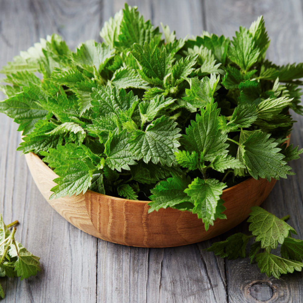 Herbal Poultice Application at To Heal Is To Love in Houston, TX