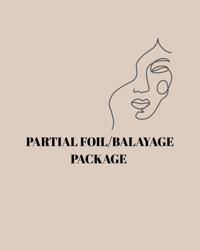 Partial Foil/Balayage Package at Hair by Daijah in Troy, OH