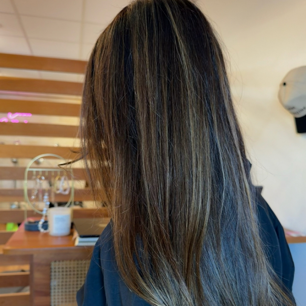 Brunette Revamp Session at Color by Melanie in 33629