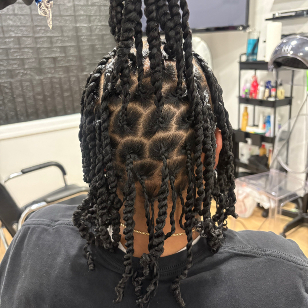 Two Strand Twist at The Curl Dealer in Southfield, MI