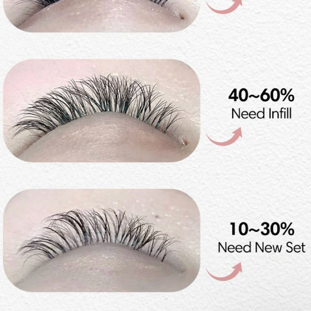 3 Weeks Fill - Volume at Marie’s Brows And Lashes in Tyler, TX