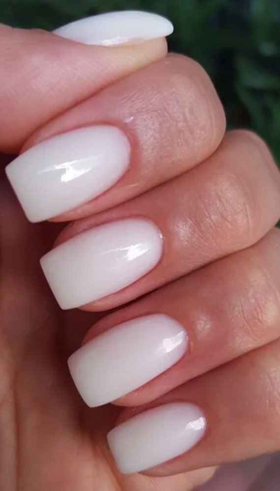 SENIOR MANI