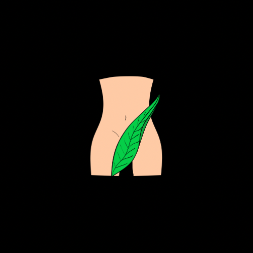 Bikini Wax at Esthetics By Jess in Twin falls, ID