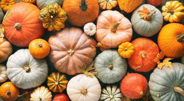 Harvest Spice Aromatherapy
