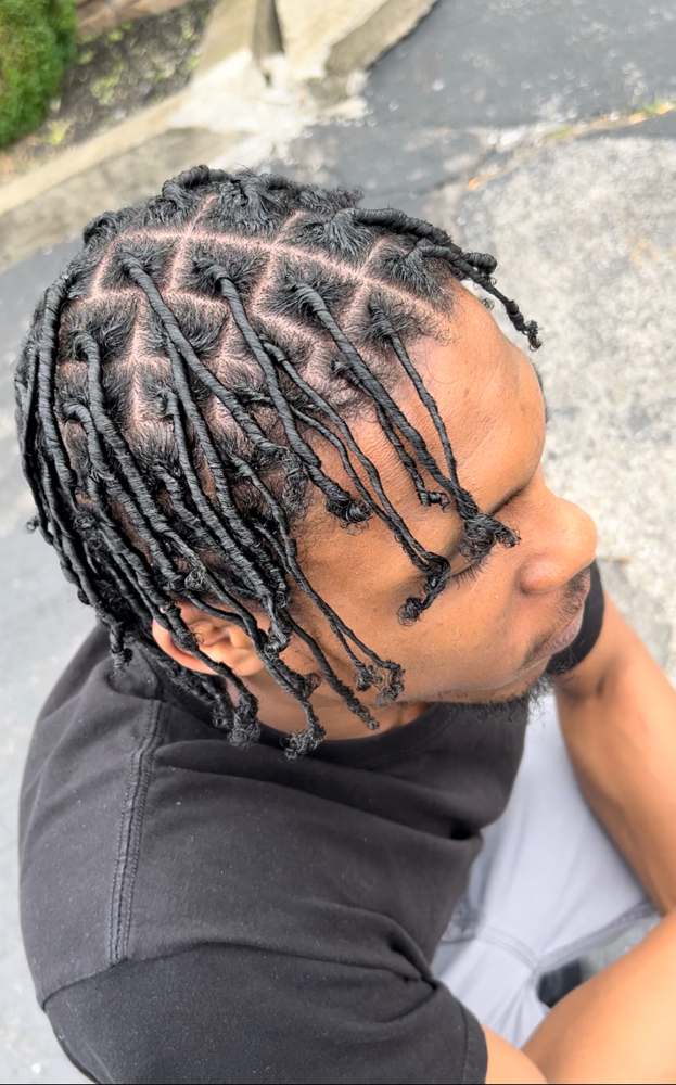 Starter Locs