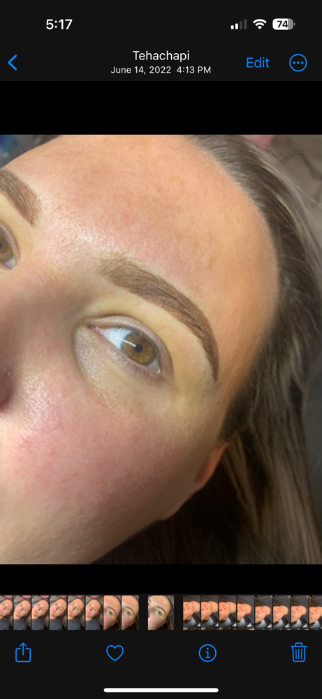 Microblading Annual Touch Up