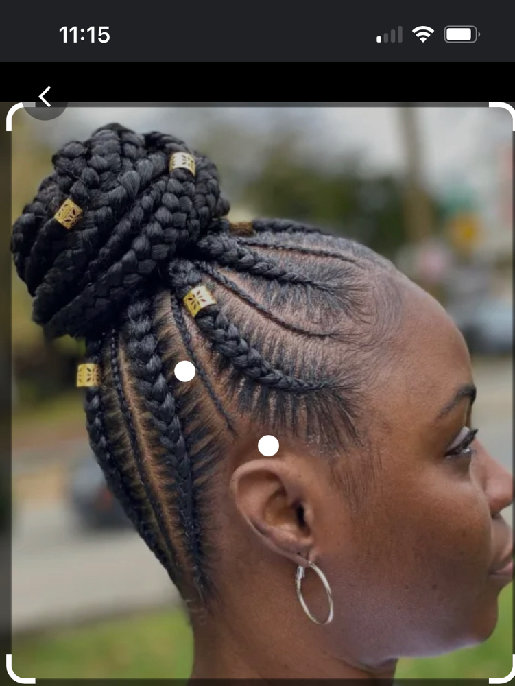 Braided Updo