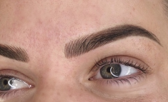 Powder Brows  2 Months Touchup