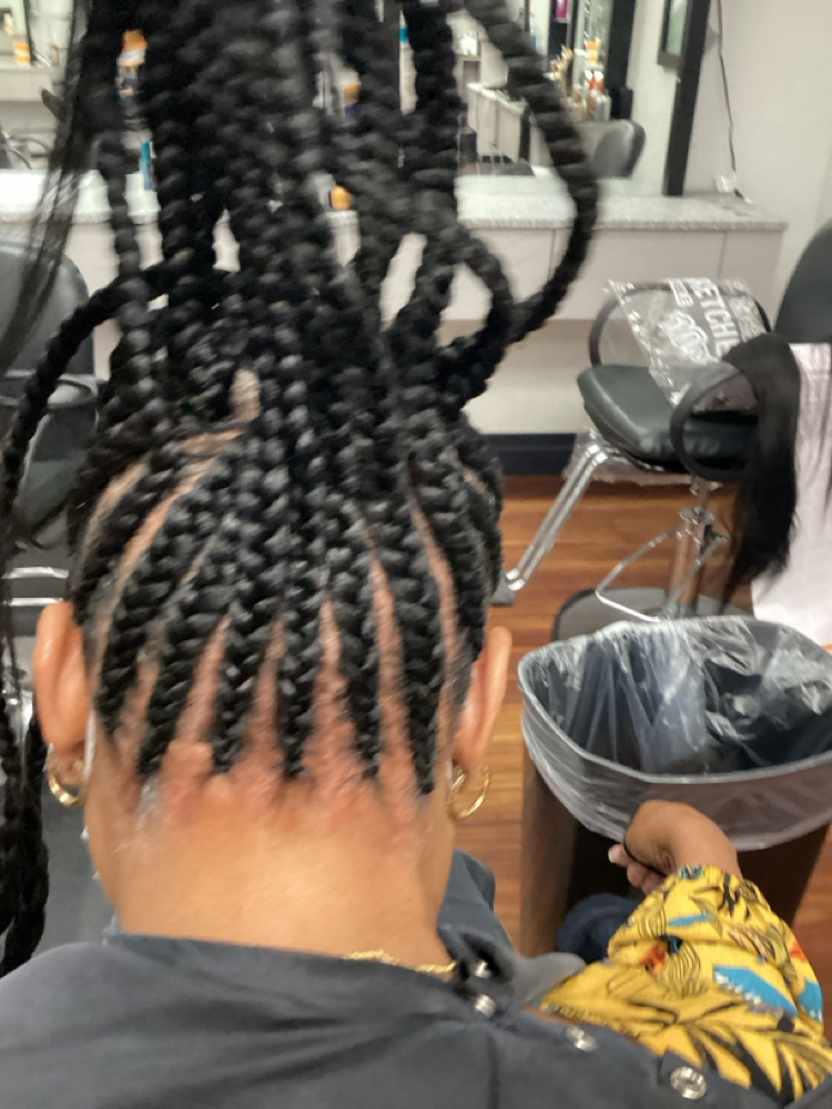 Braid Updo Basic