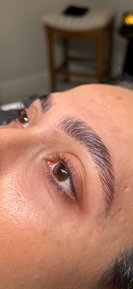 Brow Lamination at AB Esthetics KC in Parkville, MO