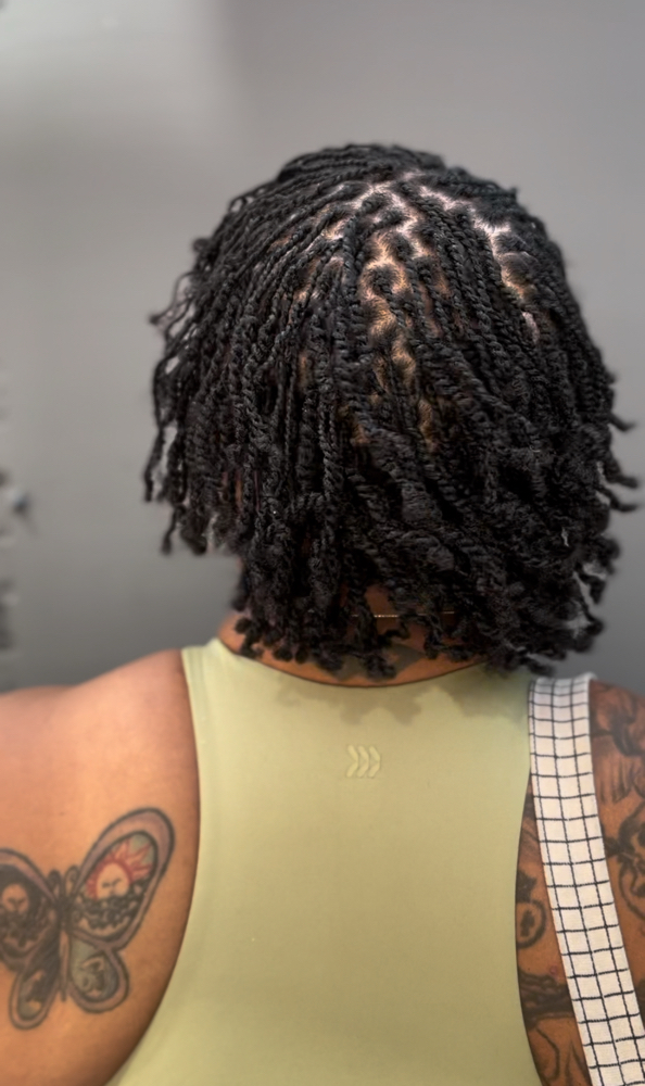 Micro Loc Start two strand twist