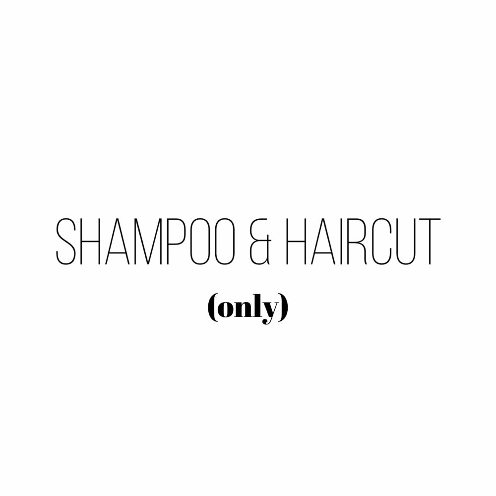 Shampoo & Haircut (only) at Hairkare Studio in Orland Park, IL