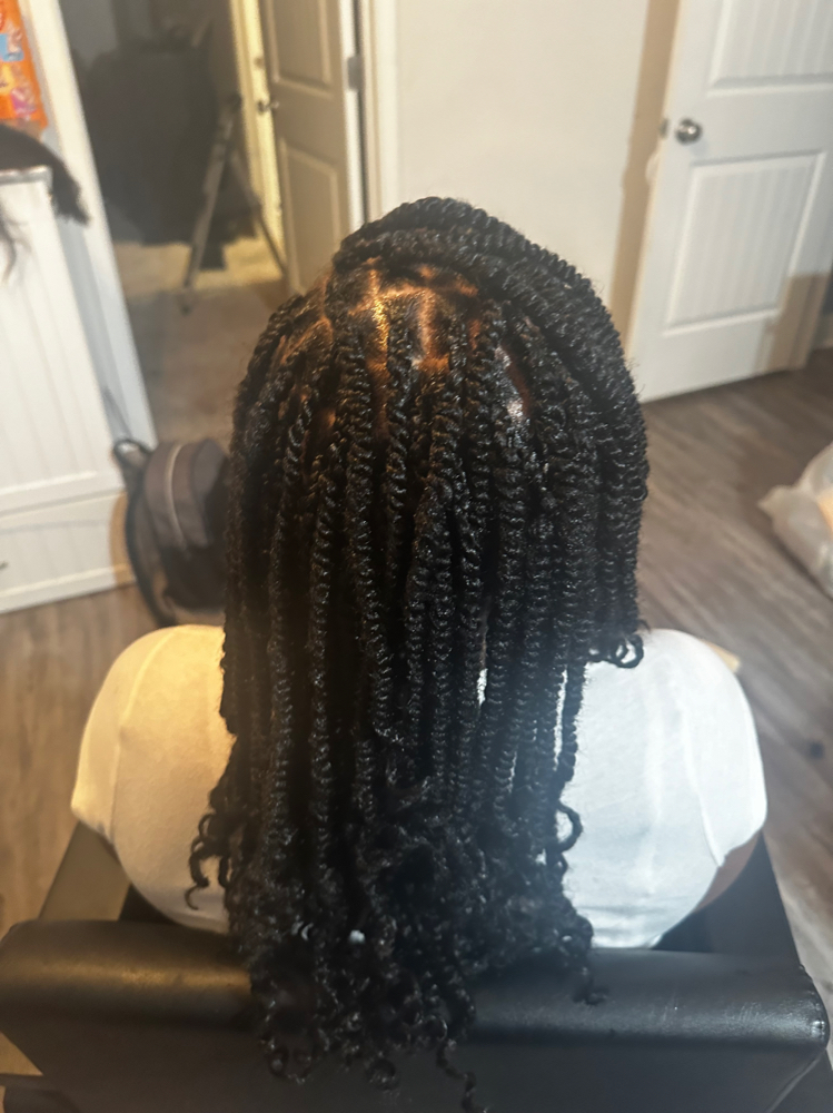 Spring Twist Braids