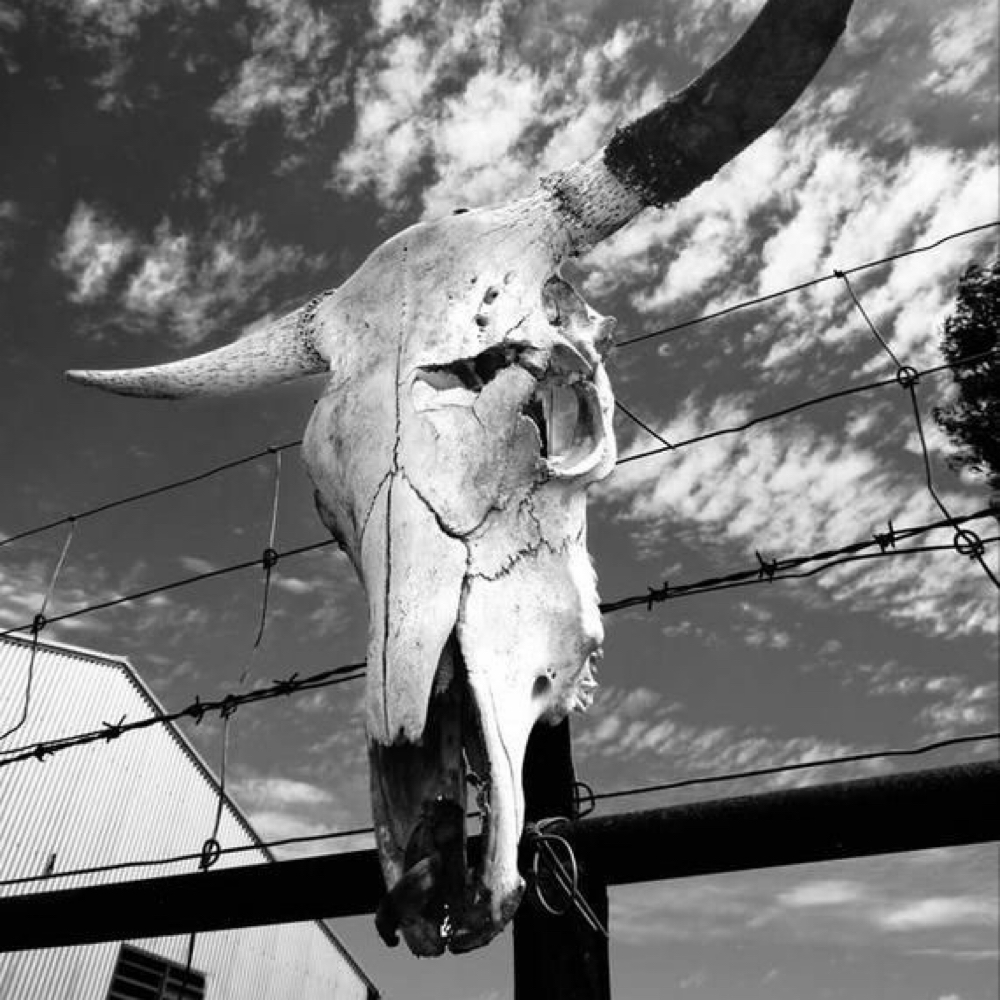 All Over Color (Single Color) at Salon Idyll in Rochelle, IL