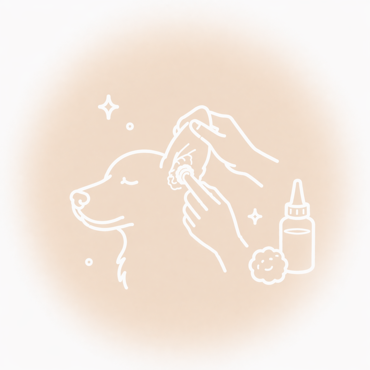 Ear Cleaning at Av and Dogs in Santa Clara, CA