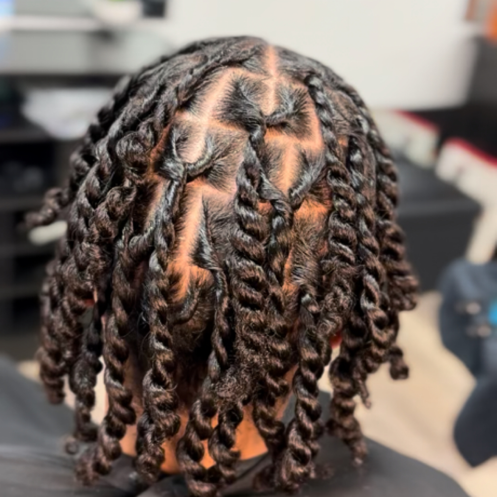 Mens Twist at TheHairAllure in Indianapolis, IN