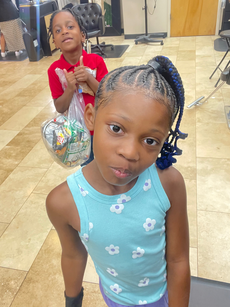 Braided Extended Ponytail