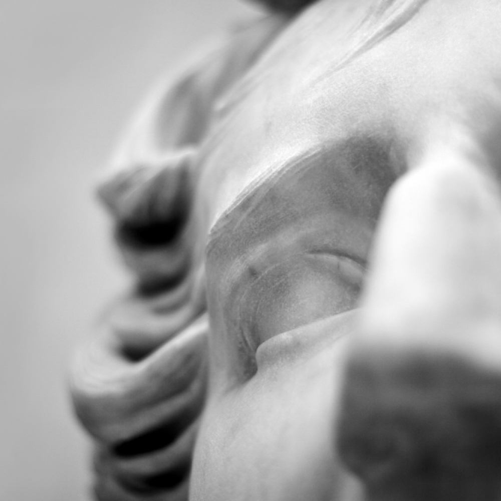 Lash & Brow Services