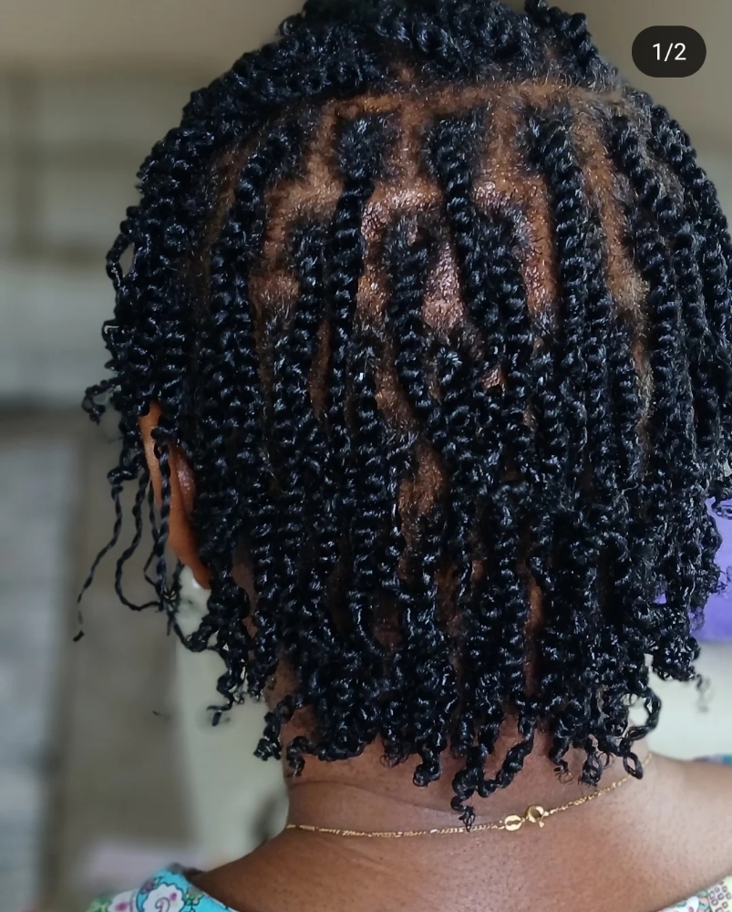 Two Strand Twist With Natural Hair