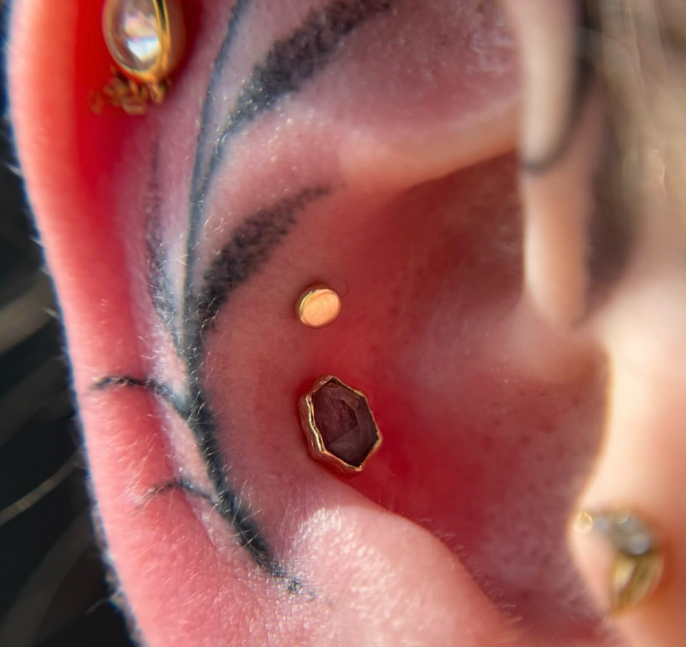 Double Conch 16+