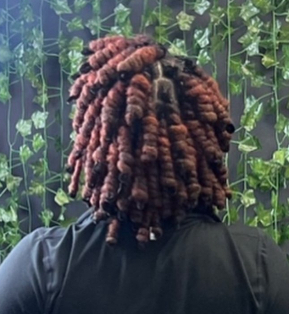 Retwist W/pipe Cleaners