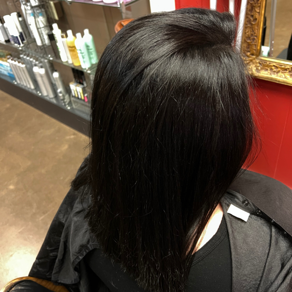 All Over Color at Transitions Salon       “Hair by Jennifer” in Poplarville, MS
