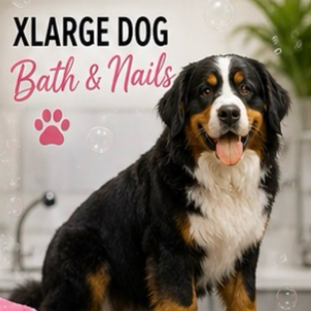 XL Dog Bath & Nails at Pampered Pups By Helen in Chino Hills, CA