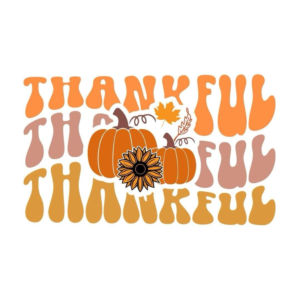 ✨November Fill Promo✨