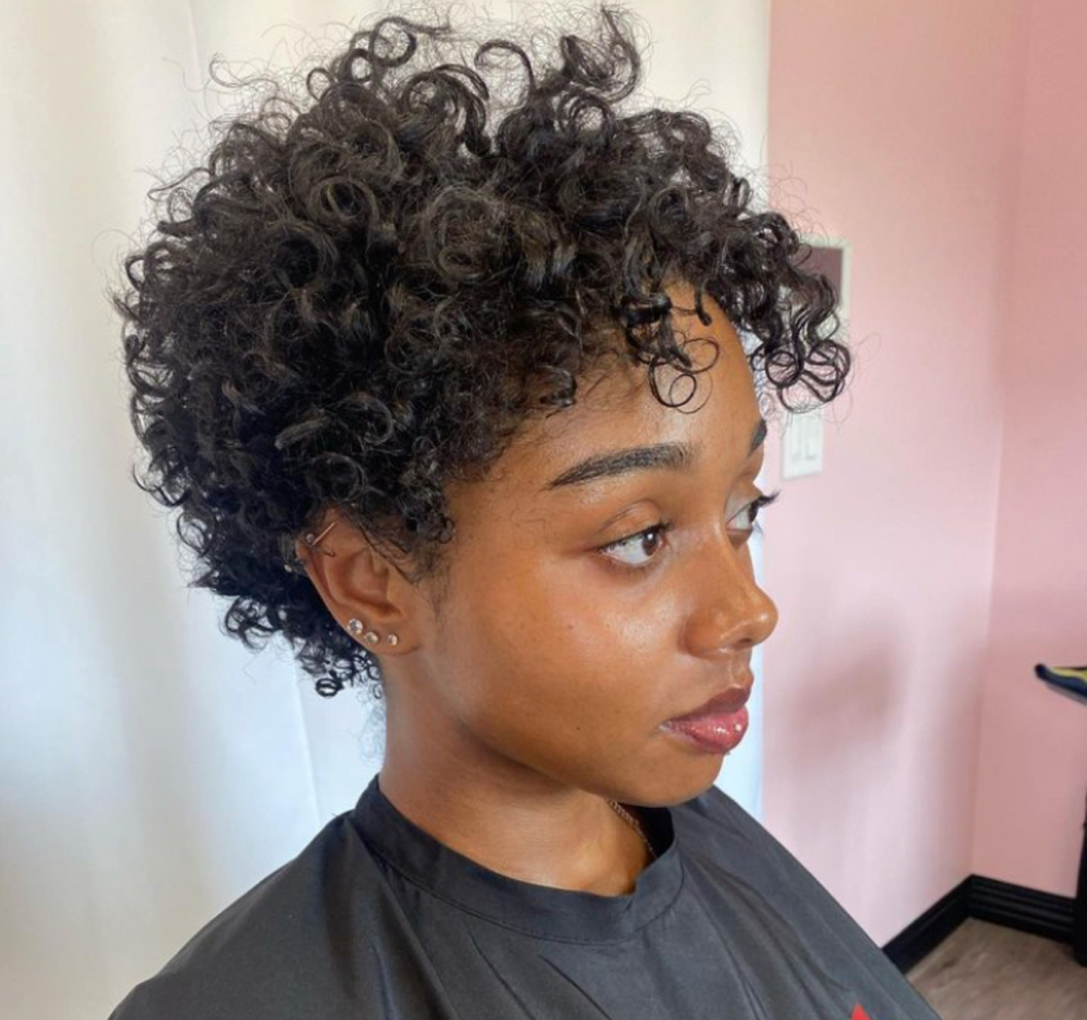 Express Dry Curly Cut