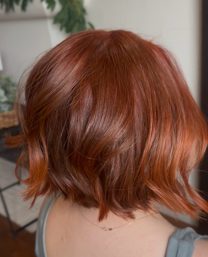 Full color/Retouch +Gloss at AMBER ASHBY HAIR in Whittier, CA