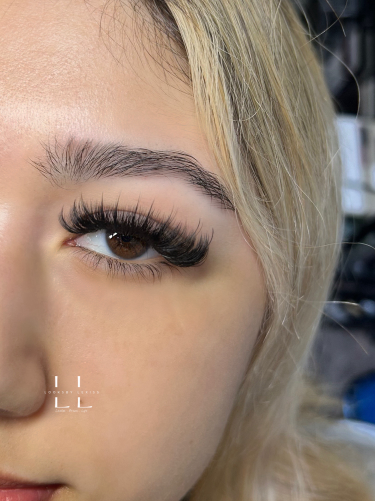Volume Fill at Alexis Arreola in Shorewood, IL