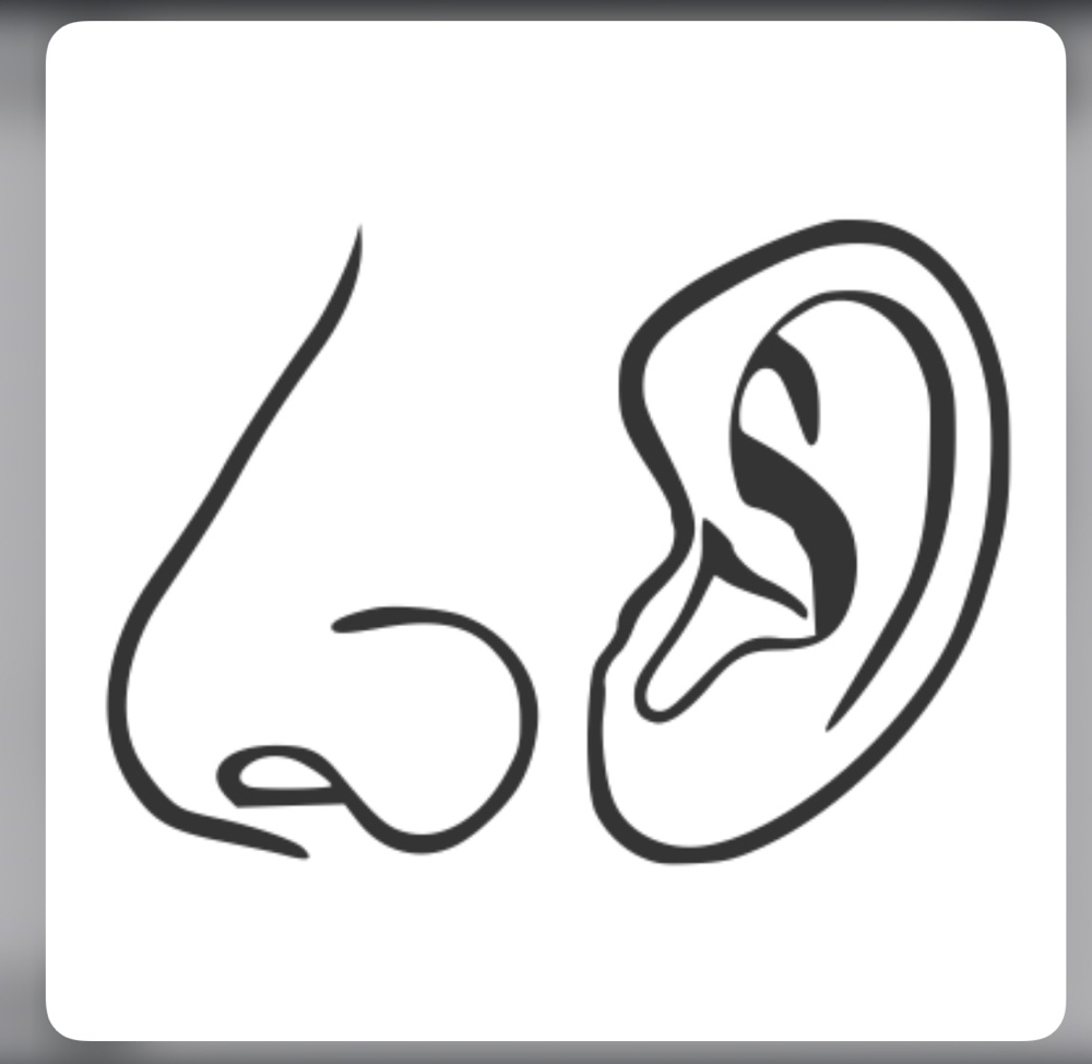 Nose & Ear