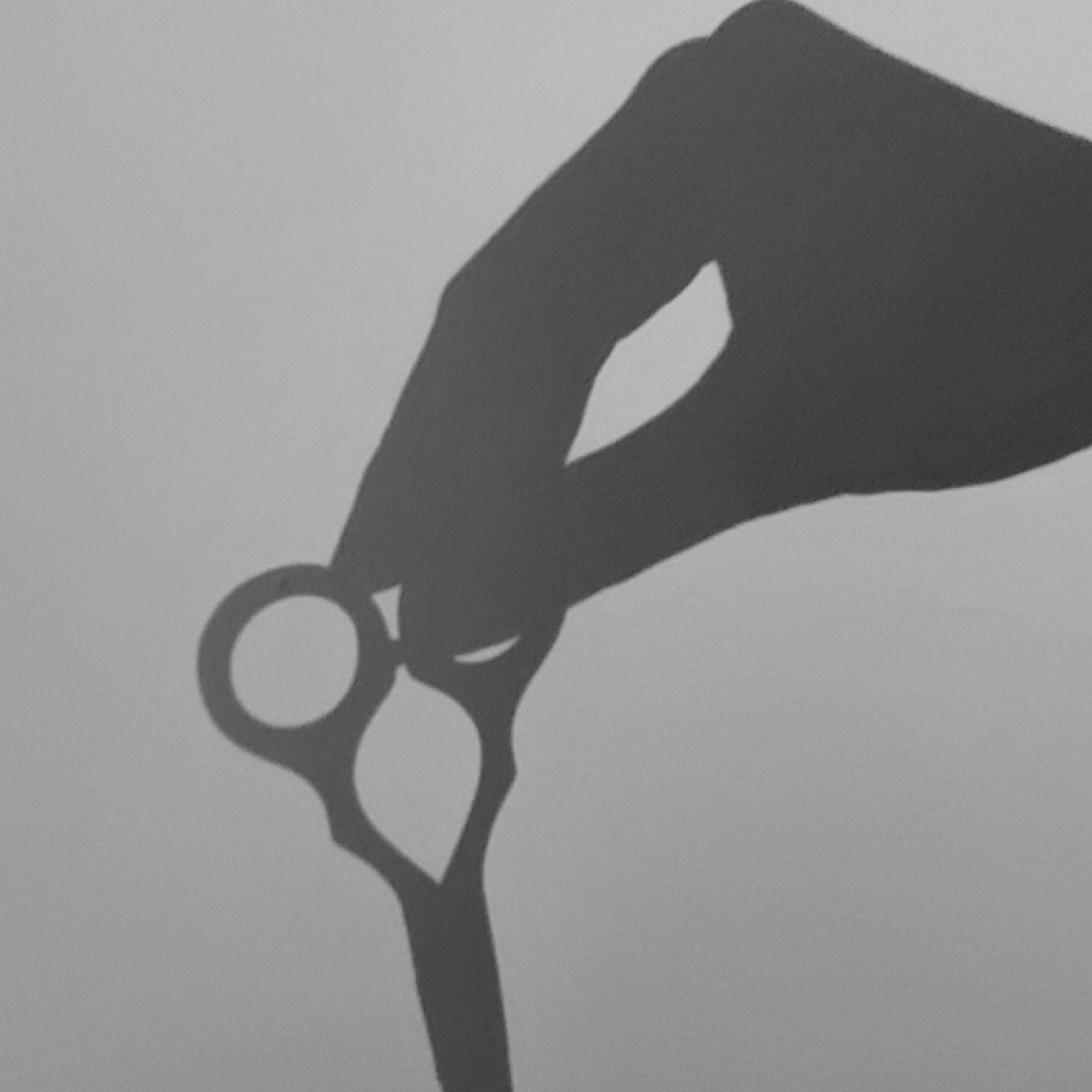 Haircut (color add on) at Kayla Lawyer in Trenton, MI