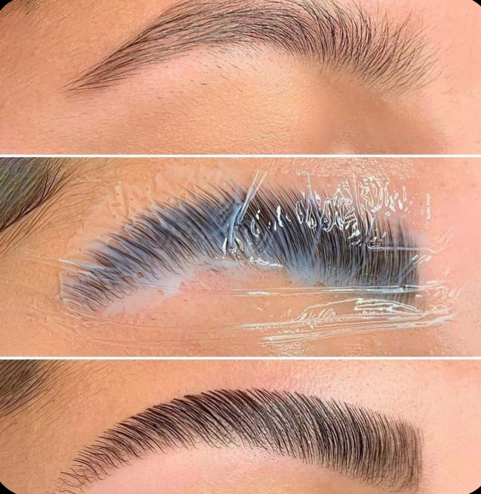 Eyebrow Lamination