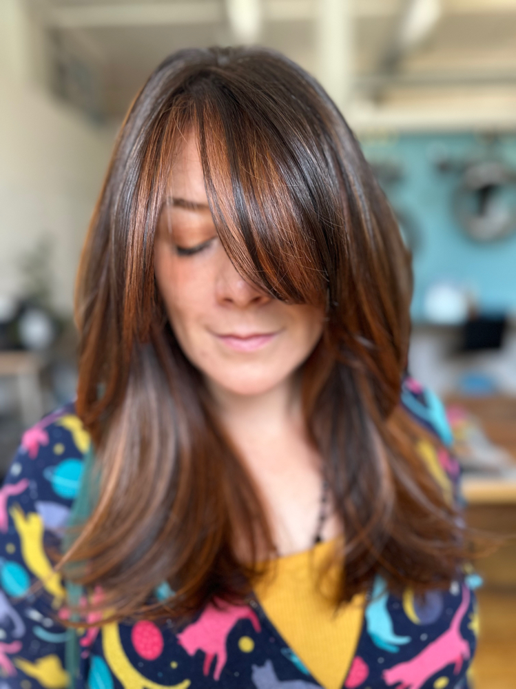 Partial Hilights/ Balayage w/Roxy