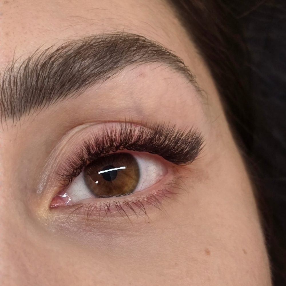 QUEEN REFILL (2-3 weeks) at Dinara Isangildina Luxe Lashes in Mountain View, CA