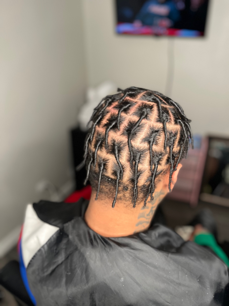 Starter Locs (Coils)