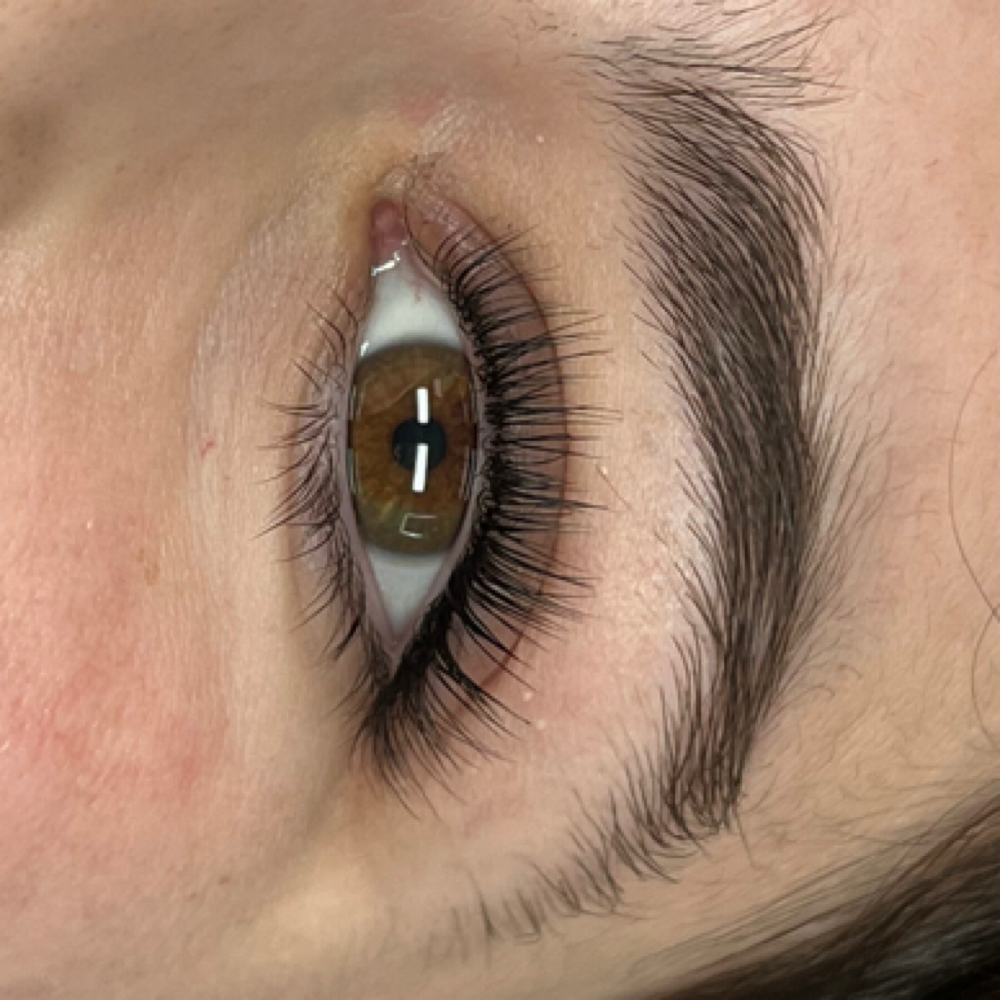 Lower Lash Tint at Lashed By Jill LLC in Chicago, IL