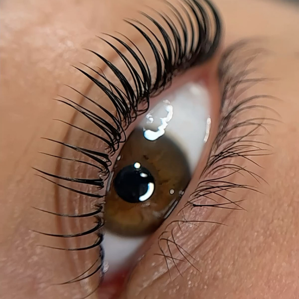 Lash lift and tint at L'ATELIER AESTHETIC in Stuart, FL