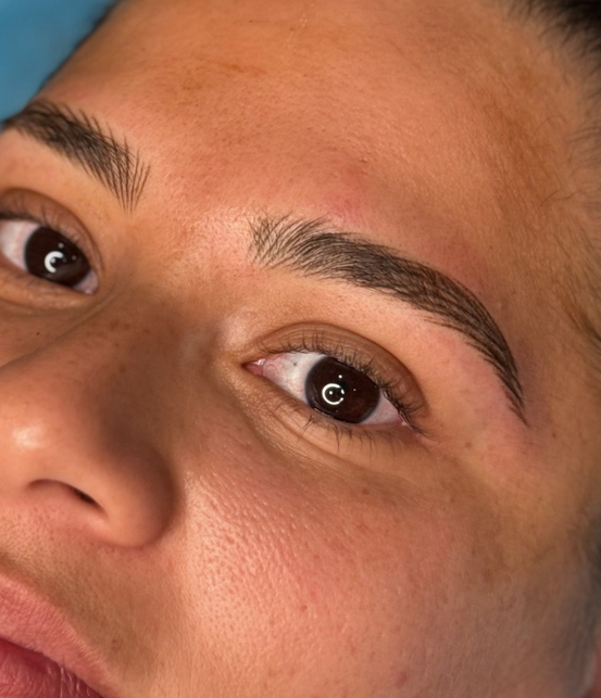 SPECIAL : Nano Wispy Brows