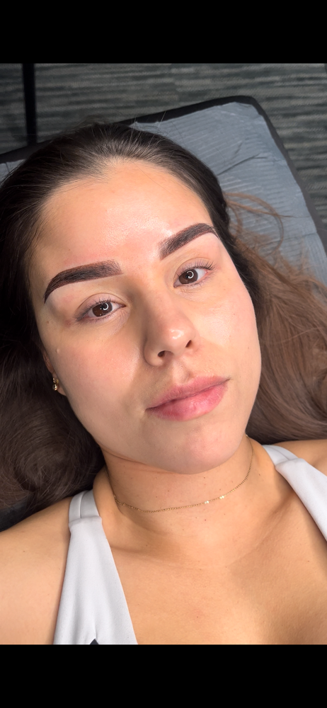 Ombre Brows