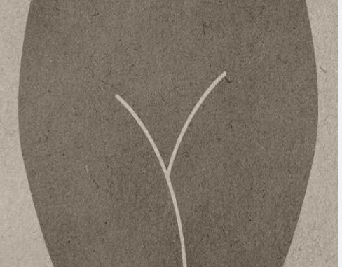 Initial Brazilian Wax