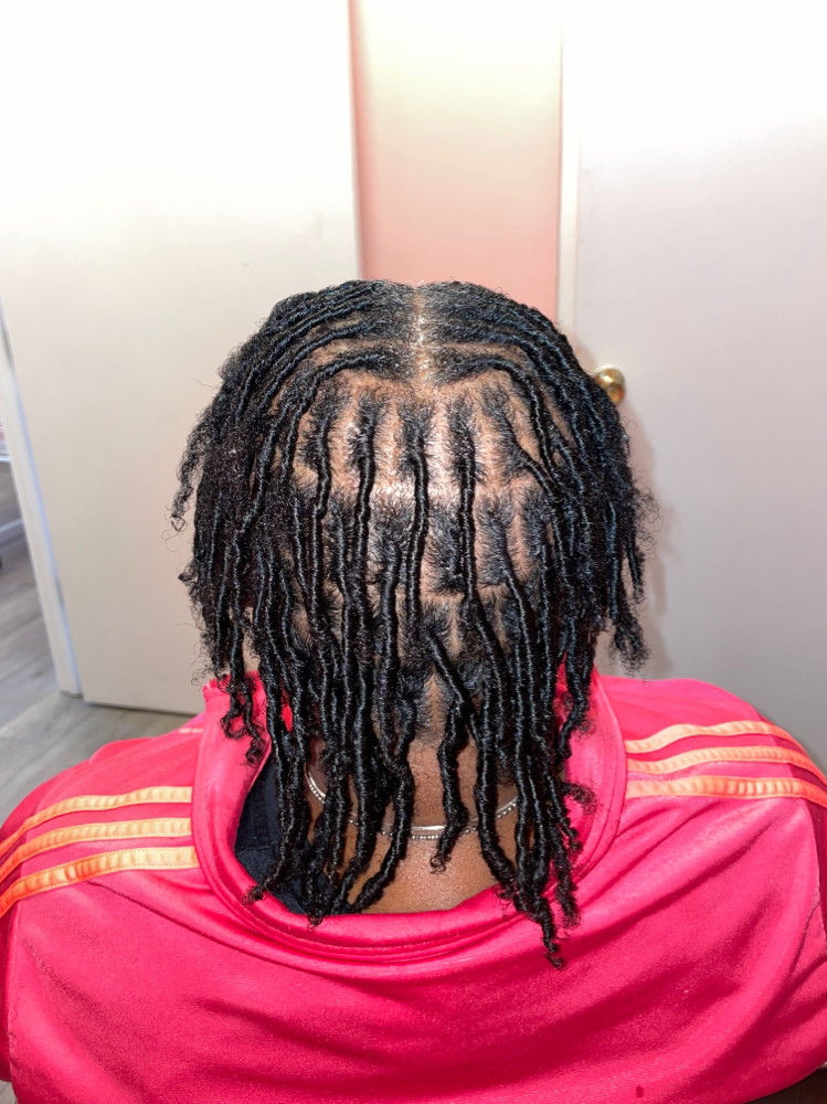 Starter Locs