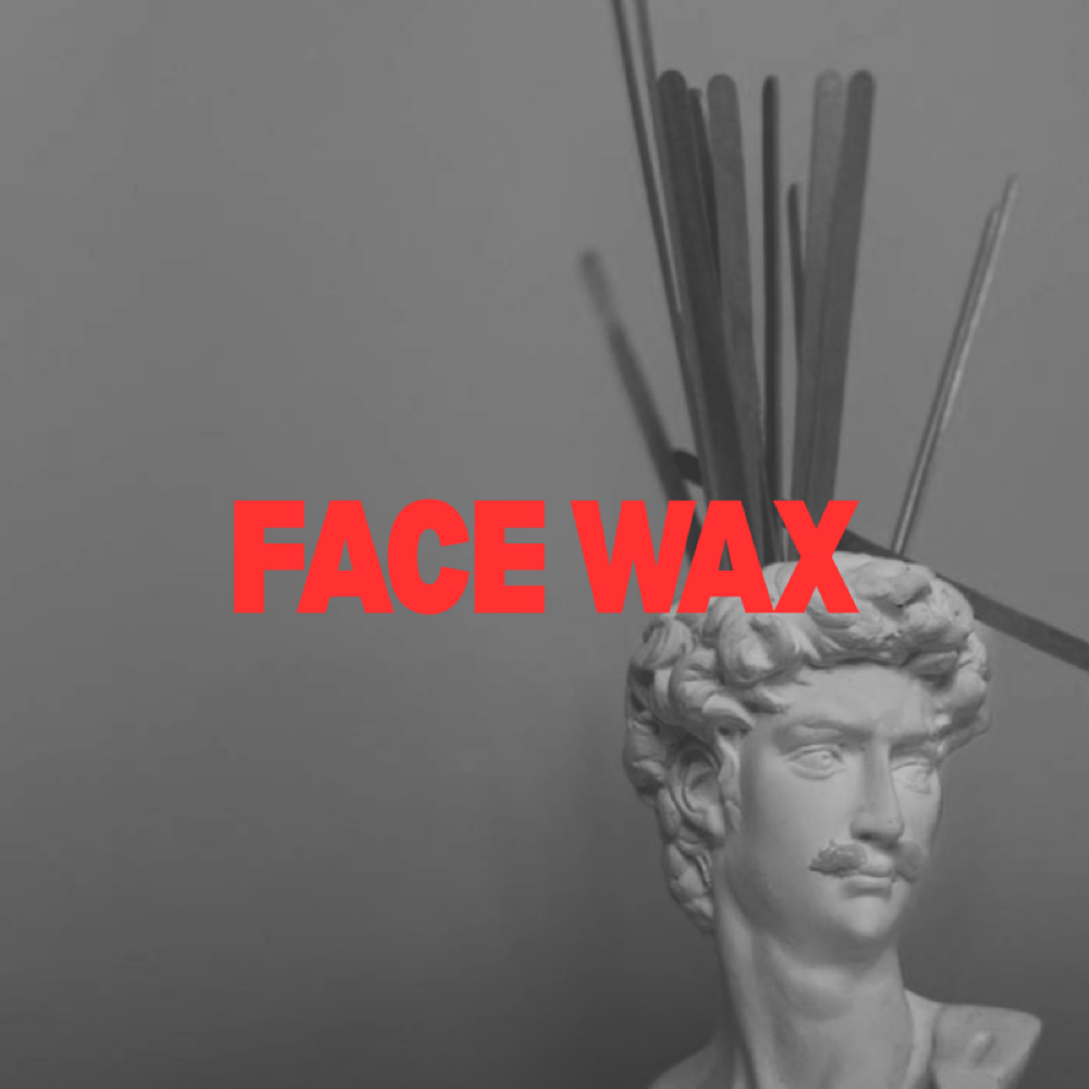 Facial Waxes at Bare A Wax Studio in San Antonio, TX