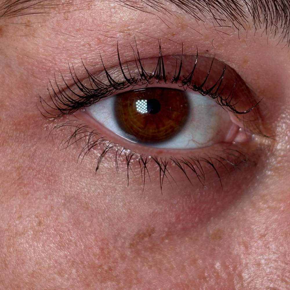 Lash Lift/Tint