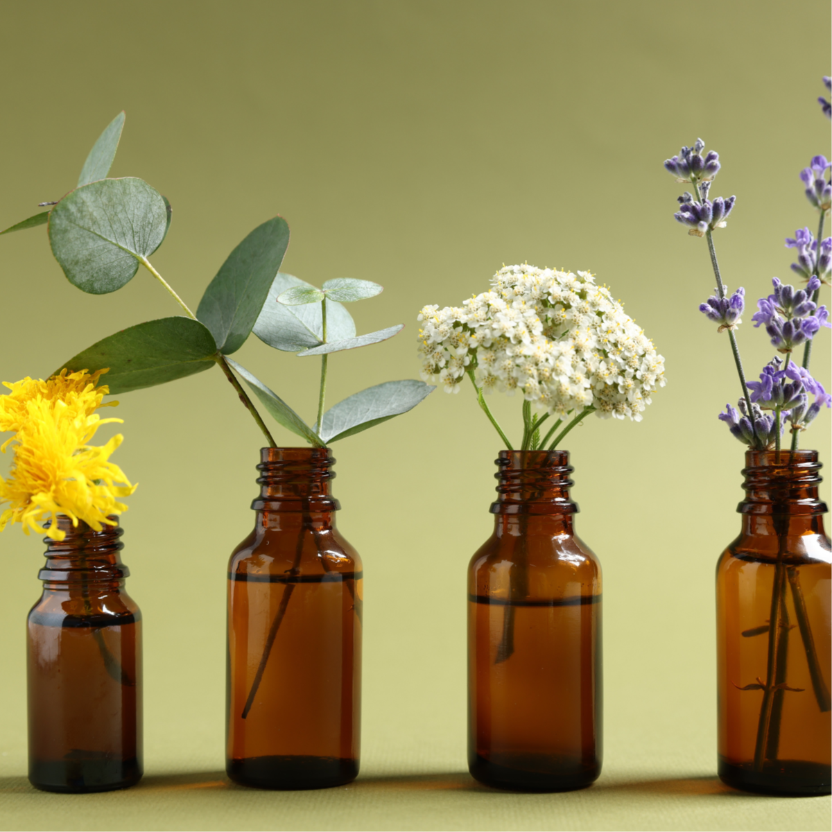 Aromatherapy Add on to Massage at The Rose and Yarrow, LLC in Louisa, VA